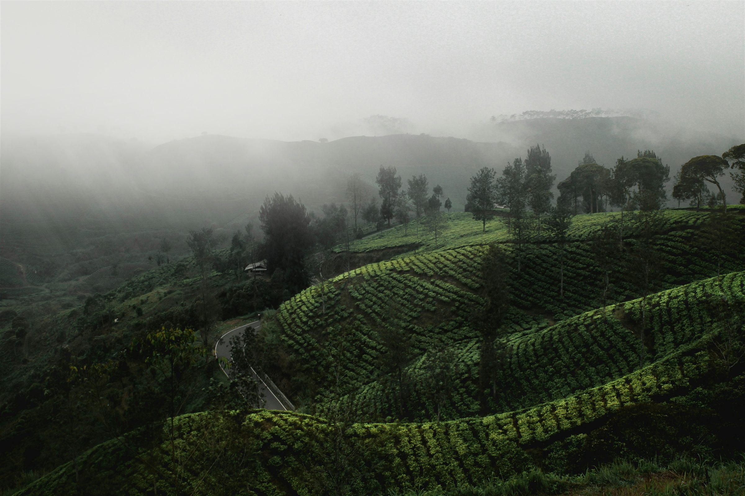 A quiet mountain landscape at dusk, representing a slow, unhurried journey.